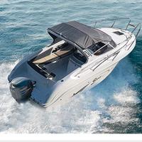 Saver 650 Cabin Sport