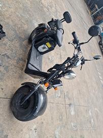 Citycoco bimotore 3 kW quadrupla batteria