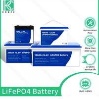 BATTERIA 12V 100Ah LiFePo4 Litio da Accumulo Energ