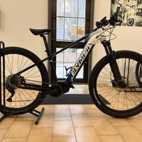 Olympia Front 900 W taglia M e L