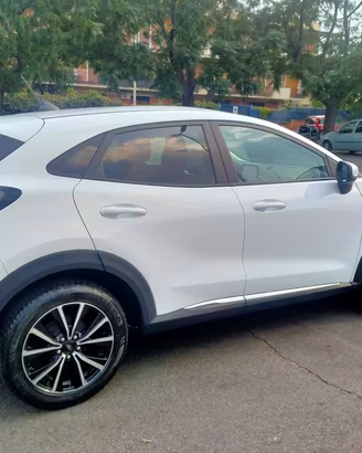 Ford Puma 1.0 Hybrid 125 CV S&S Titanium 2020