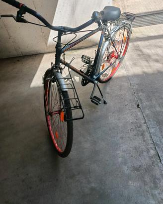 bici uomo 