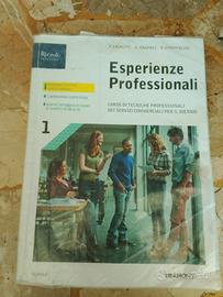 Esperienze Professionali 