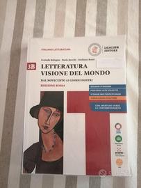 Letteratura visione del mondo 3b