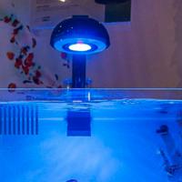 Platoniera acquario marino cetus 2