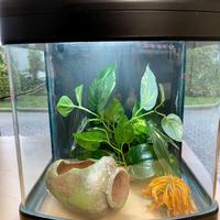 Acquario xCube completo di accessori