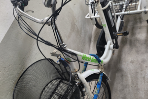 Triciclo elettrico per adulti pedalata assistita