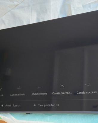 LG QNED 55"