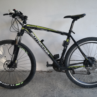 Bicicletta elettrica bottecchia 29