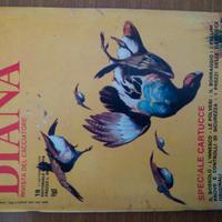 Raccolta Riviste Diana