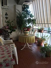 Appartamento - Caltanissetta