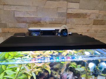 plaffoniera acquario