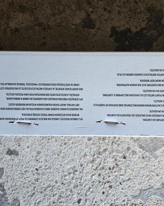 Bicicletta Denver Puffi