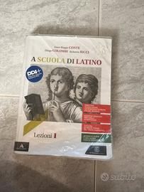 libro a scuola di latino