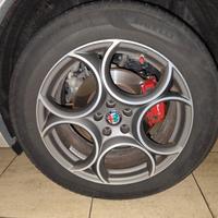 cerchi 19 alfa stelvio