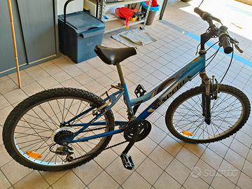 Bici MTB da 24