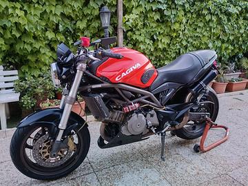 Cagiva raptor 1000