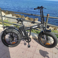 Bicicletta elettrica
