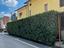 Immagine 10