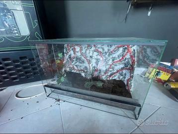 Terrario 60x40x40