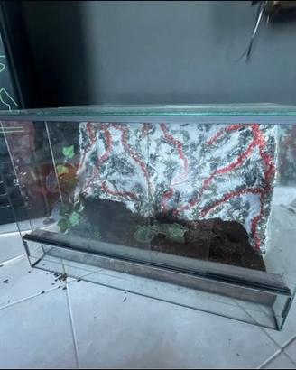 Terrario 60x40x40