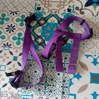 Pettorina cane e gatto