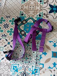 Pettorina cane e gatto