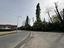 Immagine 12