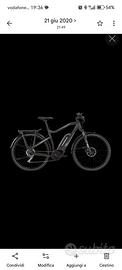 Bici Elettrica