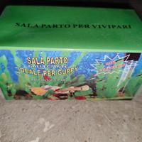 Sala parto per vivipari