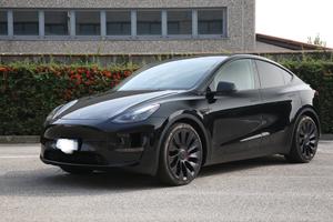 Tesla Model Y Performance