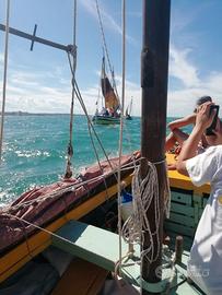 Barca tradizionale adriatica con vela al terzo