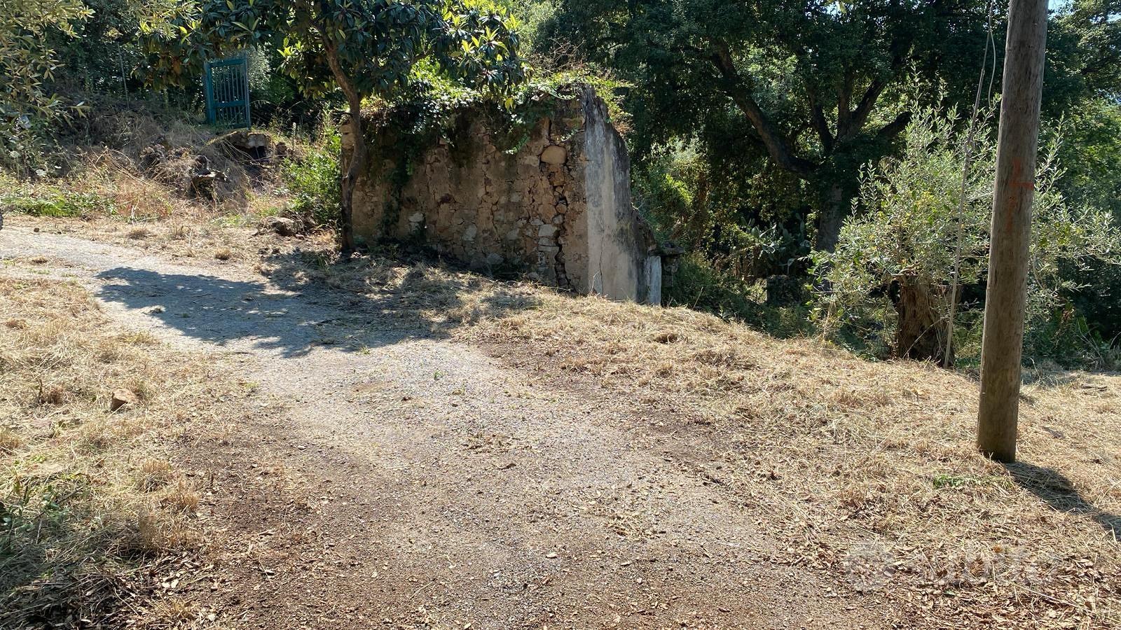 Terreno immerso nel verde con progetto approvato - Vista 3