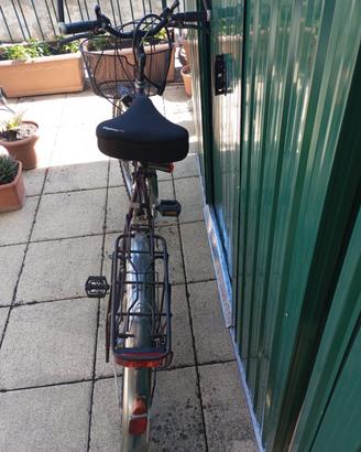Bicicletta con cestino