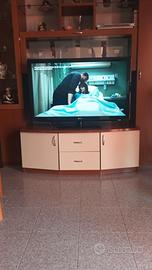 Appartamento in una bifamiliare