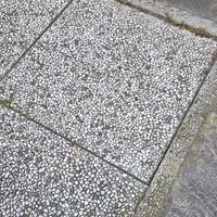 Mattonelle da giardino 50x50