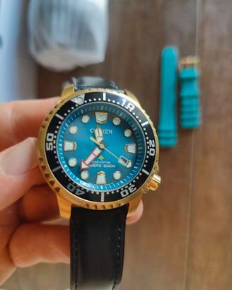 Orologio Citizen Promaster
