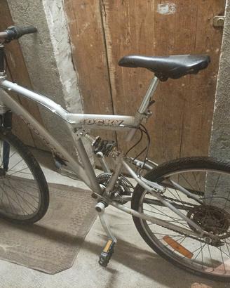 Mountain bike per ragazzi 