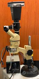 Stereomicroscopio WILD M4A