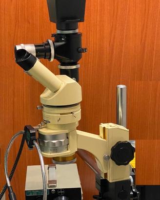 Stereomicroscopio WILD M4A