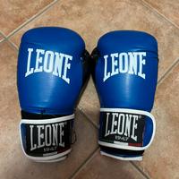 casco + guanti da boxe o kick boxing 