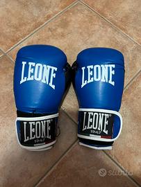 casco + guanti da boxe o kick boxing 