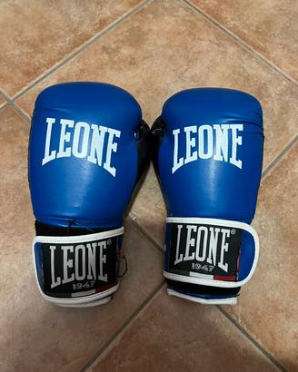 casco + guanti da boxe o kick boxing 