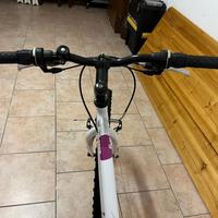 Mountain bike.