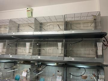 Batteria gabbie cove 55