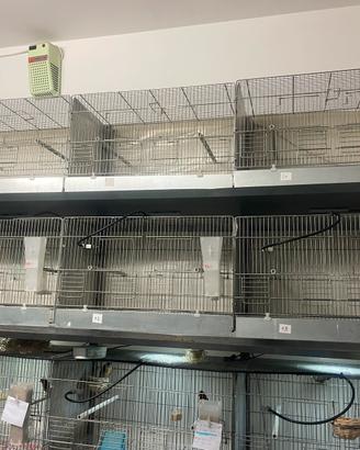 Batteria gabbie cove 55