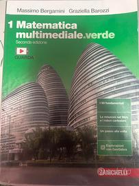 Librimatematica multimediale.verde