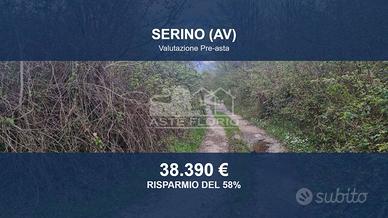 Immobile in asta di 10573 m² a Serino