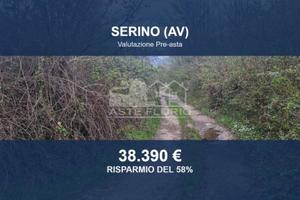 Immobile in asta di 10573 m² a Serino