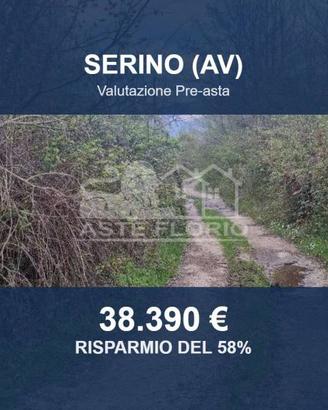 Immobile in asta di 10573 m² a Serino